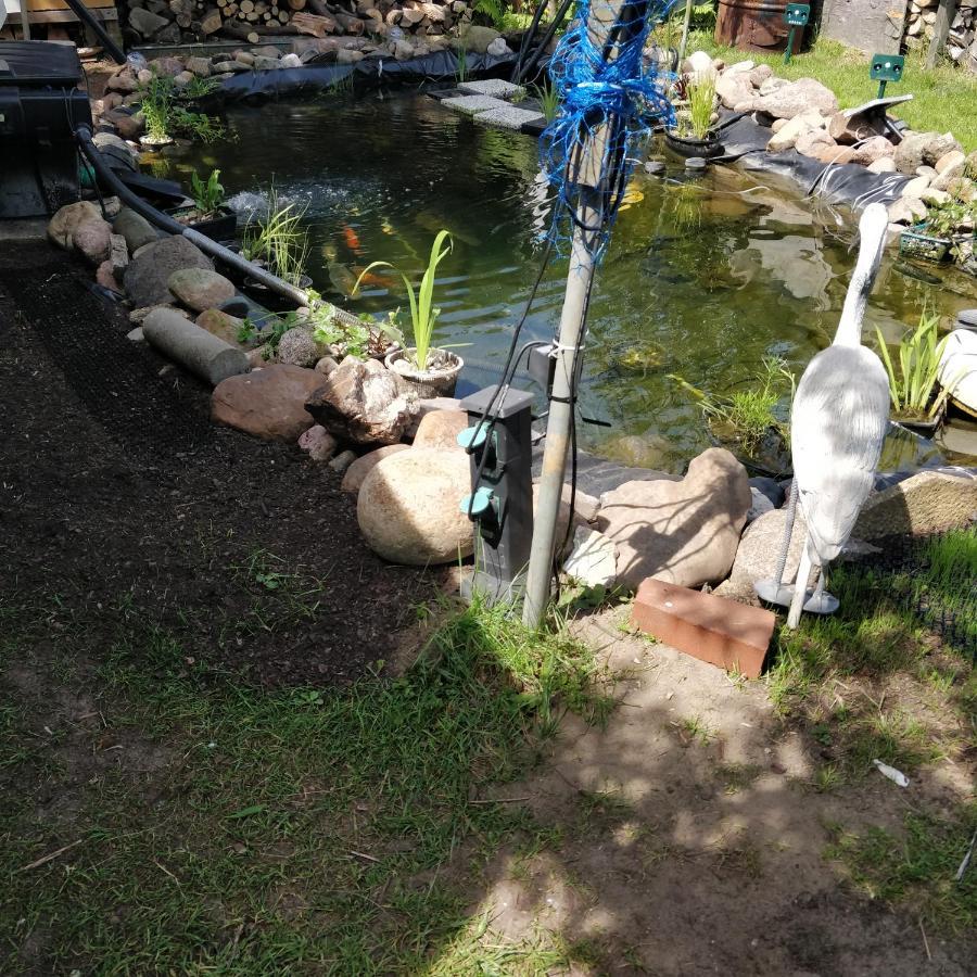 Gaestehaus Am Teich Raben Steinfeld Bagian luar foto