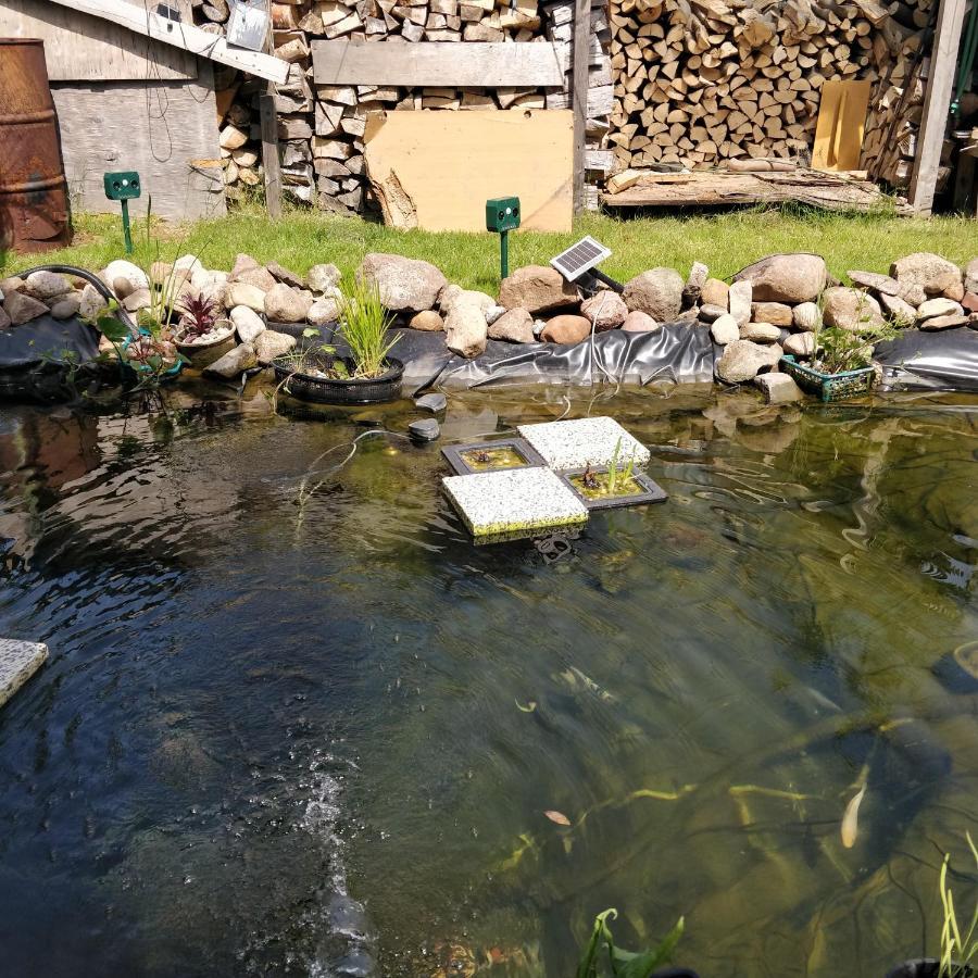 Gaestehaus Am Teich Raben Steinfeld Bagian luar foto