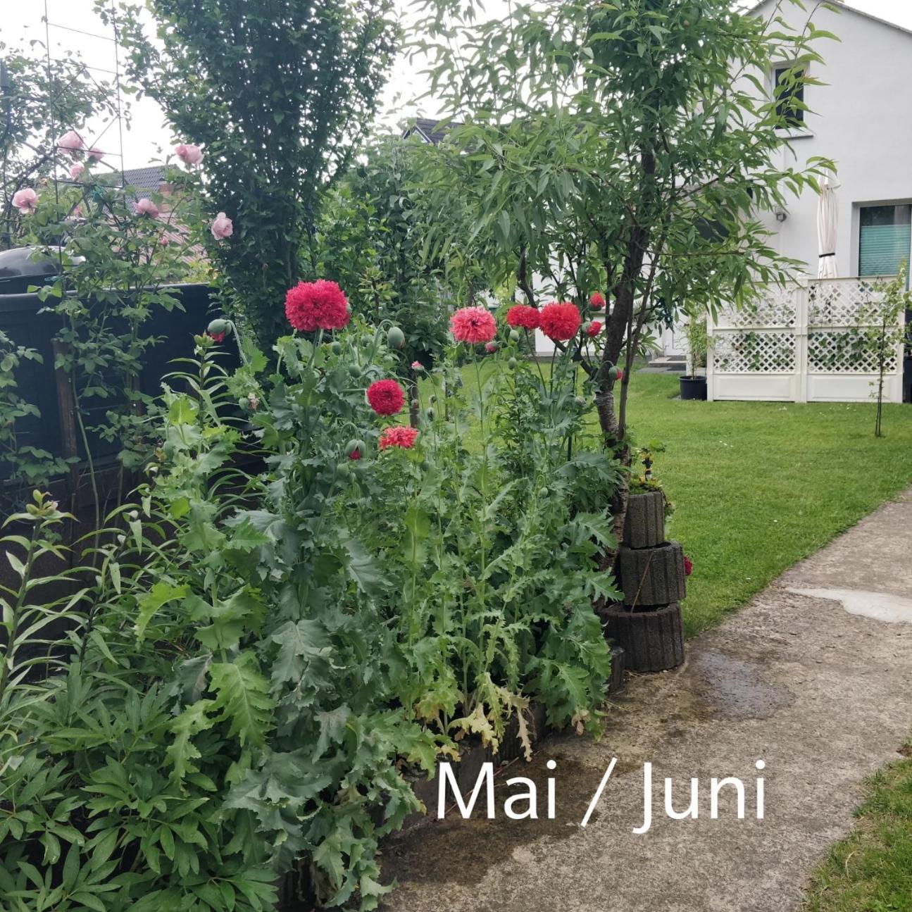 Gaestehaus Am Teich Raben Steinfeld Bagian luar foto